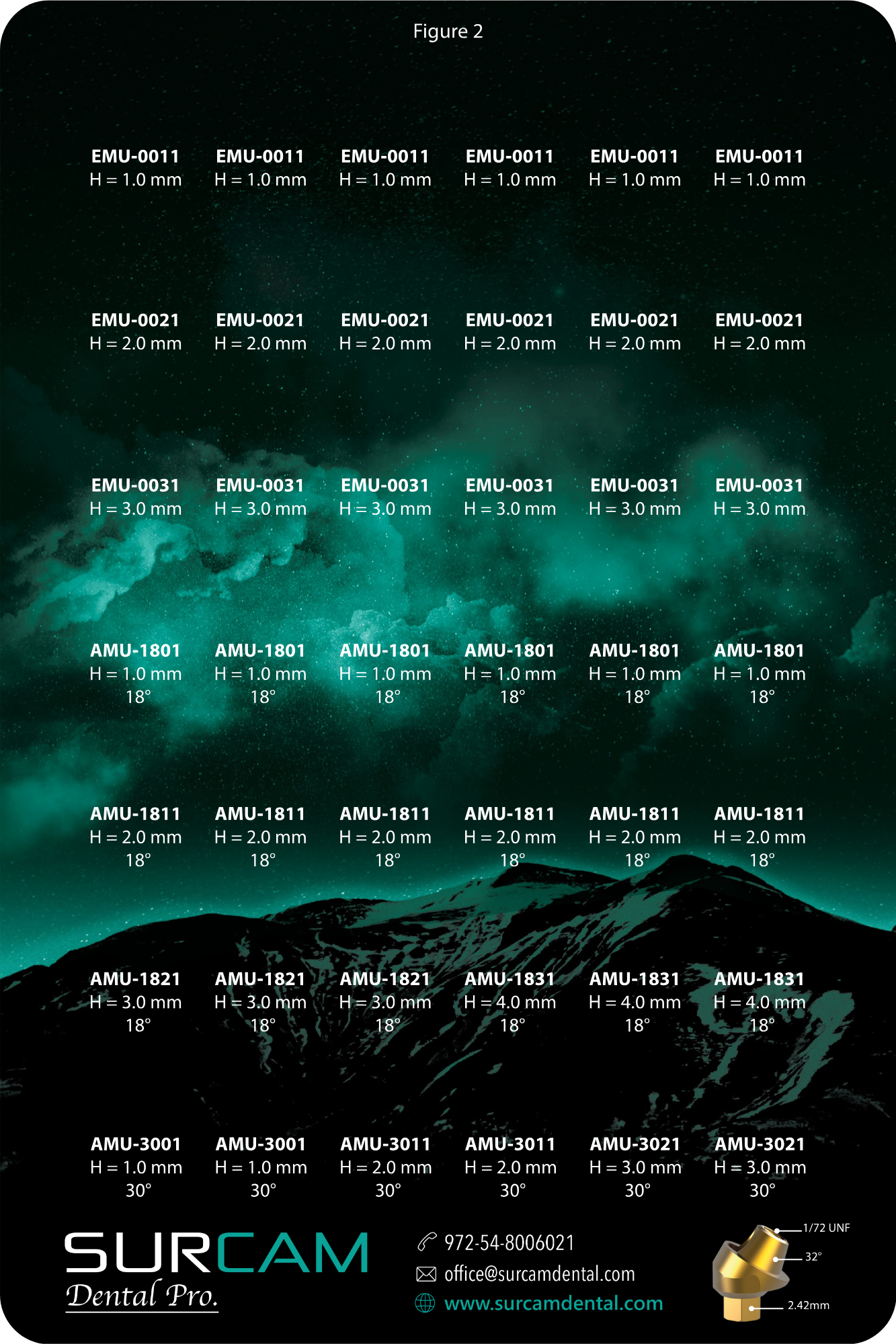 Figure 2 MU Kit Internal Hex (cone) Multi-Unit tray, UNF 1-72—24 angled, 18 straight, 42 accessories