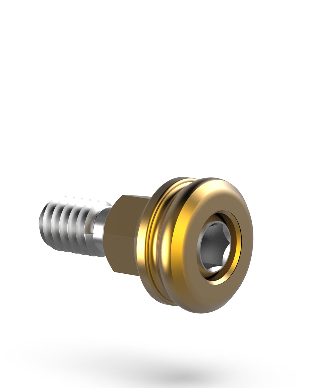Close-up of conical friction-lock mechanism for overdenture retention 1