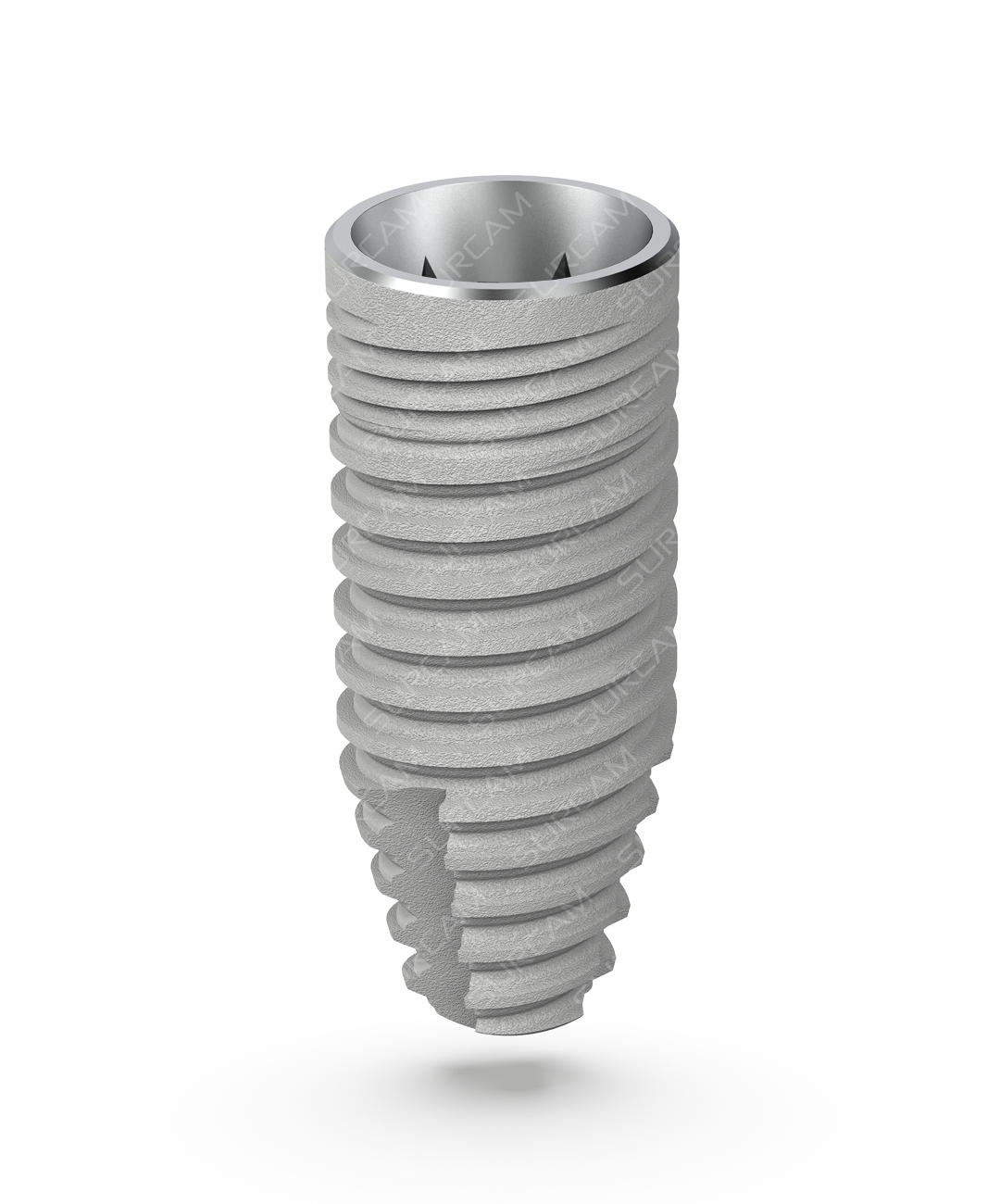 C-LSA Dental Implant RP Conical Connection