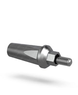 Internal Hex Straight Level Abutment with Hex Body
