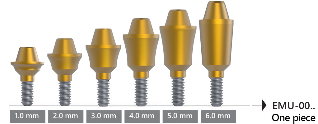 Dental Implant Straight Multi Unit Abutment